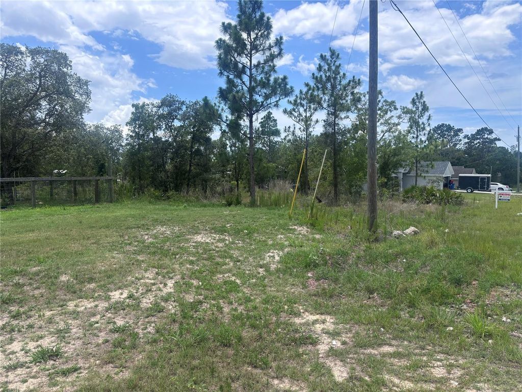 Photo of Nusser Avenue, Weeki Wachee, FL 34613 (MLS # W7876519)