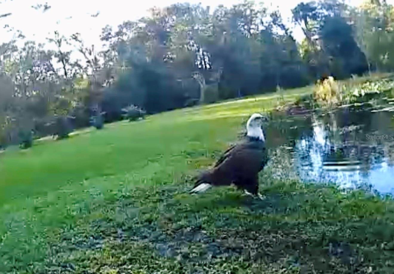 PORTION OF CRYSTAL SPRINGS COLONY FARMS - Residential