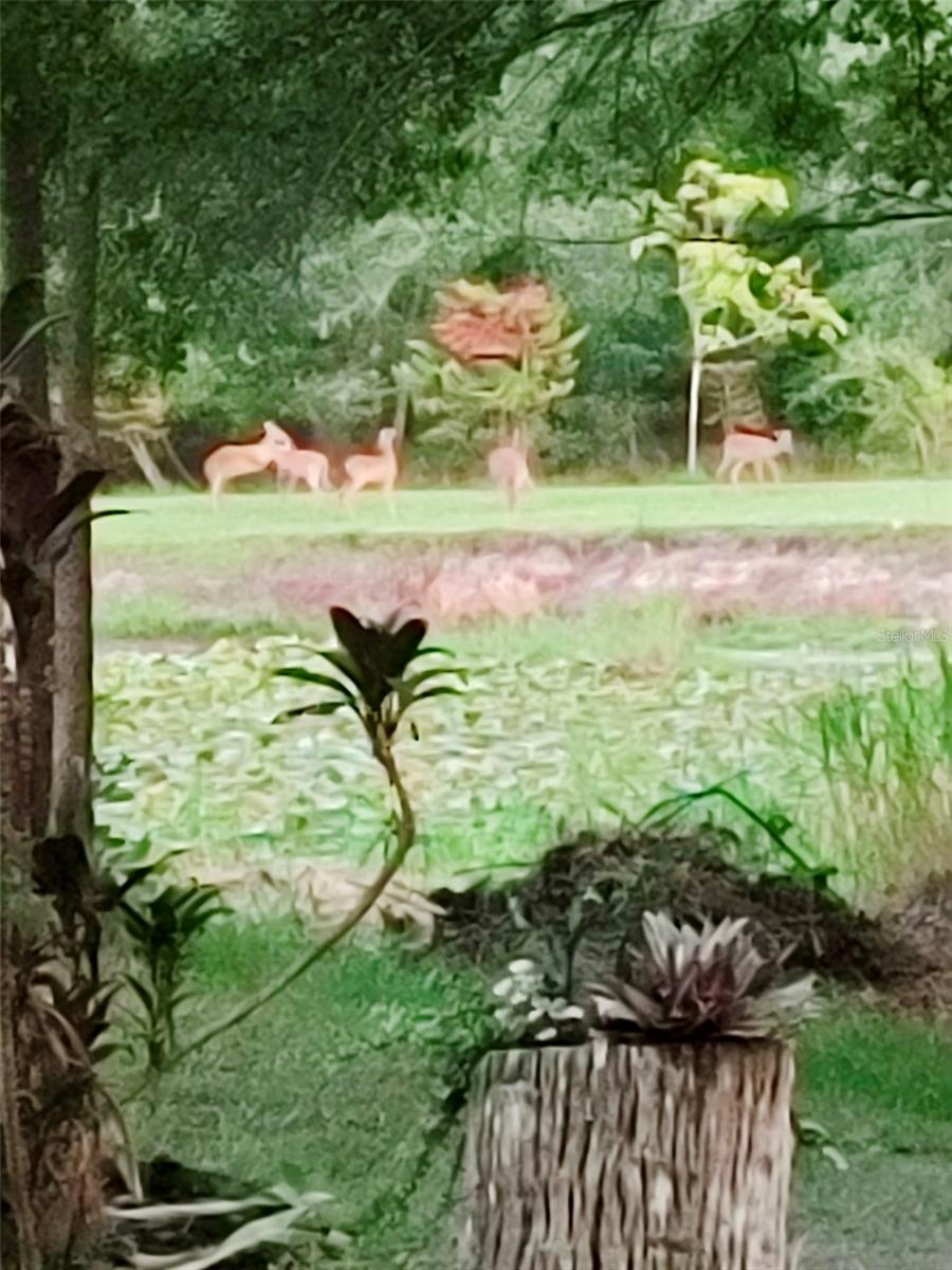PORTION OF CRYSTAL SPRINGS COLONY FARMS - Residential
