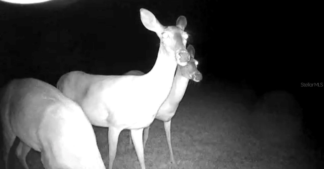 PORTION OF CRYSTAL SPRINGS COLONY FARMS - Residential