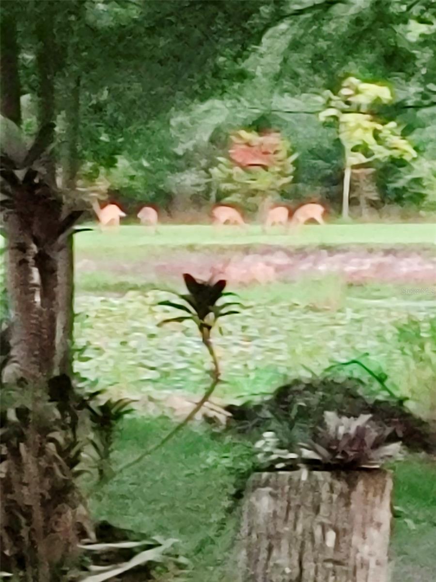 PORTION OF CRYSTAL SPRINGS COLONY FARMS - Residential