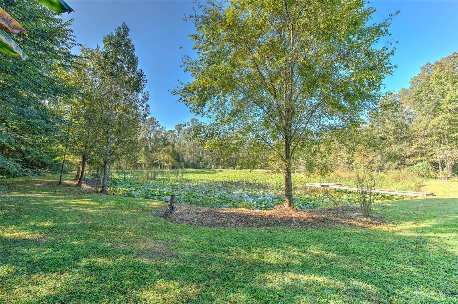 PORTION OF CRYSTAL SPRINGS COLONY FARMS - Residential