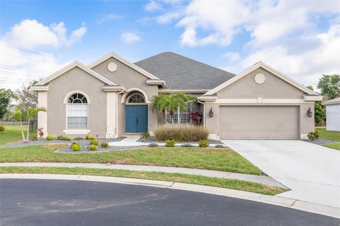 9807 BALSARIDGE COURT TRINITY FL 34655