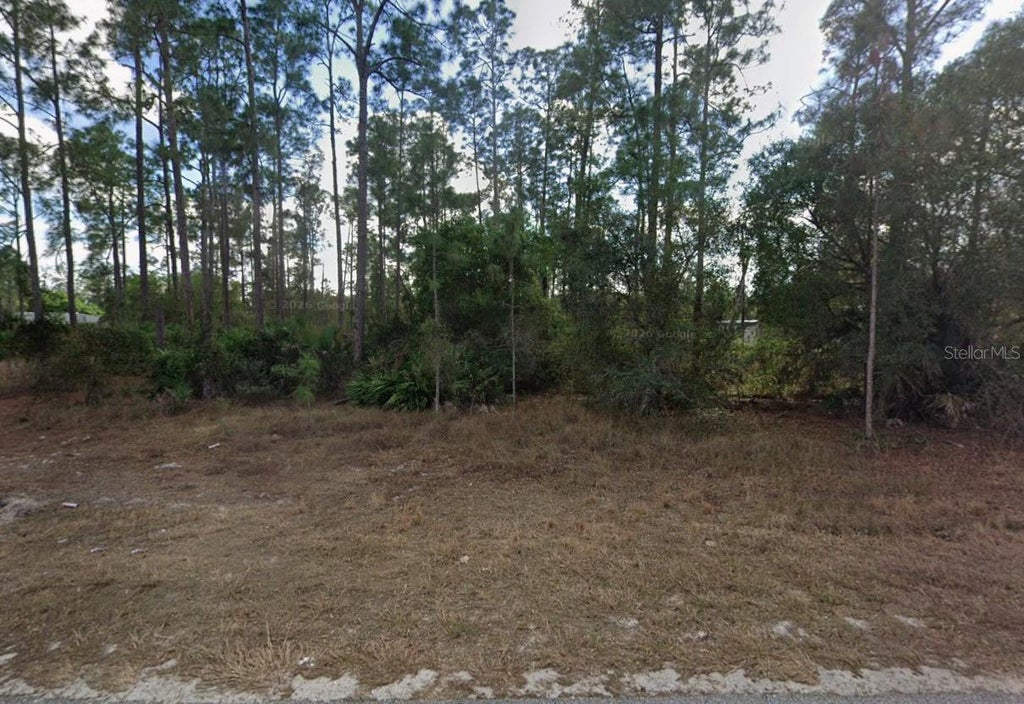 Photo of 1404 E 15th Street, Lehigh Acres, FL 33972 (MLS # TB8537923)
