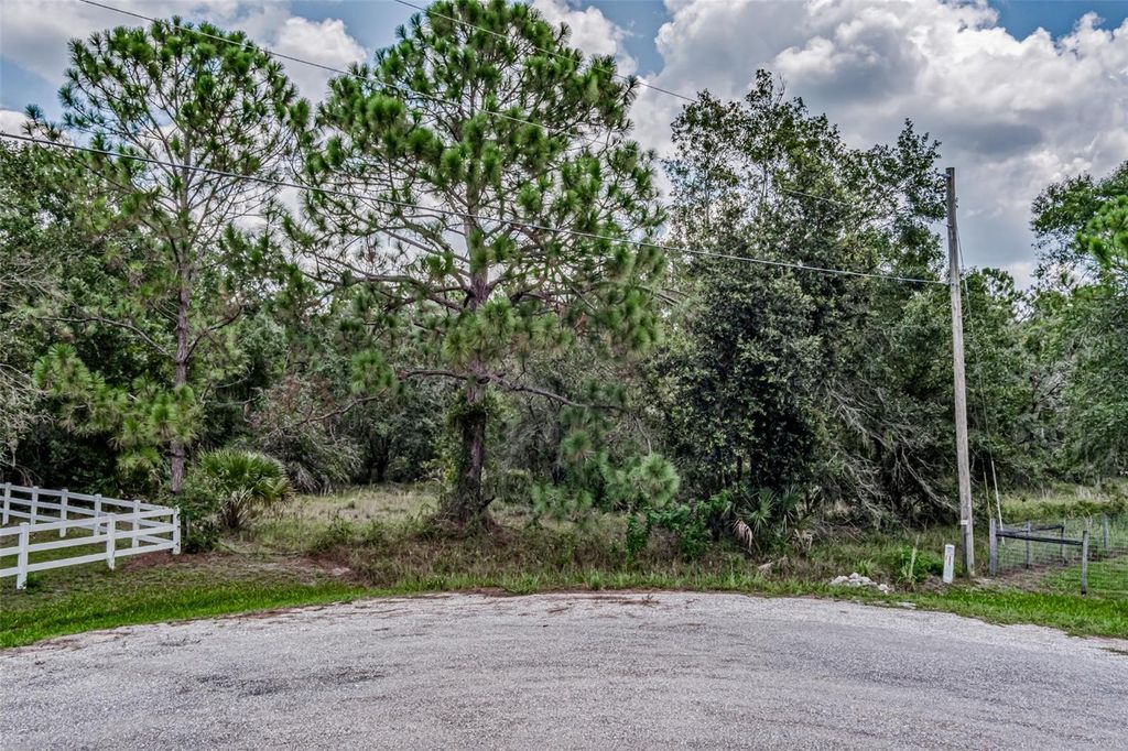 Photo of 401 Indian Meadow Court, Wimauma, FL 33598 (MLS # A4691651)