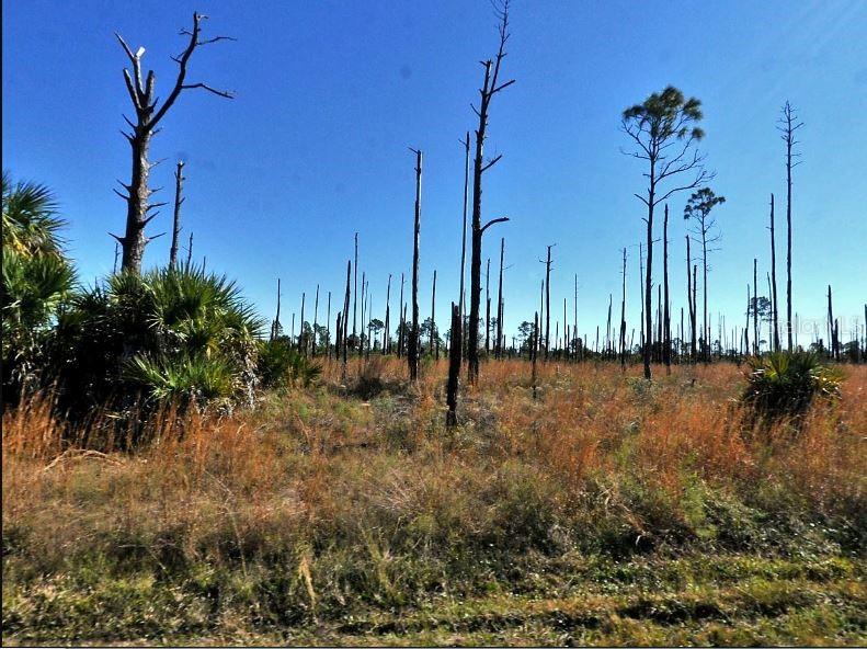 PORT CHARLOTTE SUB 46 - Land