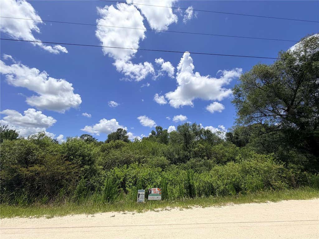 Photo of 9 Hardstone Drive, Webster, FL 33597 (MLS # OM726665)