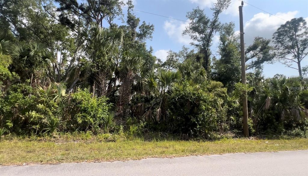 Photo of 14035 Gailwood Avenue, Port Charlotte, FL 33953 (MLS # C7513116)