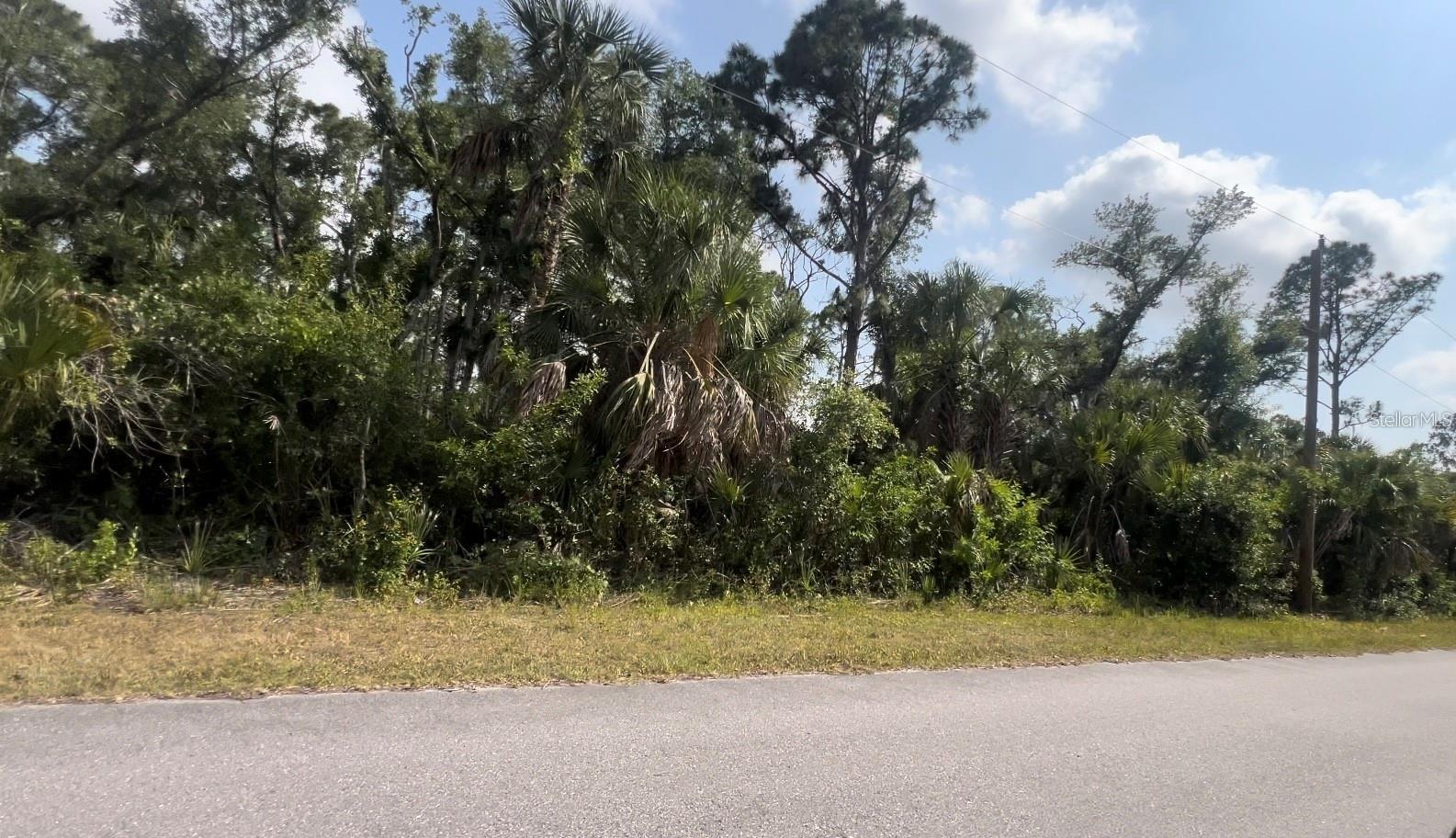 SELL A LOT OR A BUILDING PROYECT TO YOUR DREAM, the lot is ready to start any construction, it has no animals nor city restrictions. Great investment to build and make money on this 0.23 acre lot, it has city water, sewer and electricity on site, on a block with great development and properties of up to $500,000, do not miss the opportunity to build your house there and take advantage of the appreciation of a developing area, close to beaches, marinas, golf courses, restaurants, supermarkets, entertainment and fun, Port Charlotte is a coastal city with great demand in the last 5 years and its growth has allowed it to appreciate above the standard figure of other areas. We also can to build your home to your dreams. The property allows for a house with up to 5 bedrooms, 3 bathrooms, plus a den, 3 garages, a pool and garden area, and a barbecue. We have the entire design and construction team with very affordable prices and great profit if you can invest. Let's talk about your dream and get an estimate