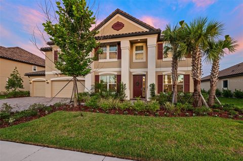 A home in WESLEY CHAPEL