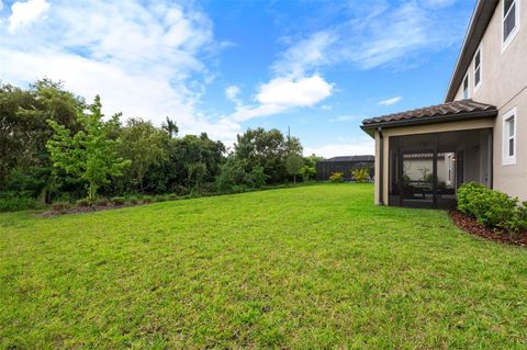 A home in WESLEY CHAPEL