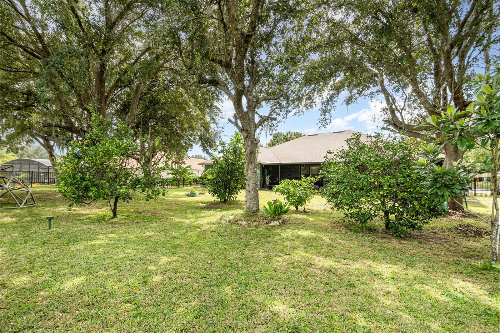 VILLAGE AT BLACK BEAR - Residential