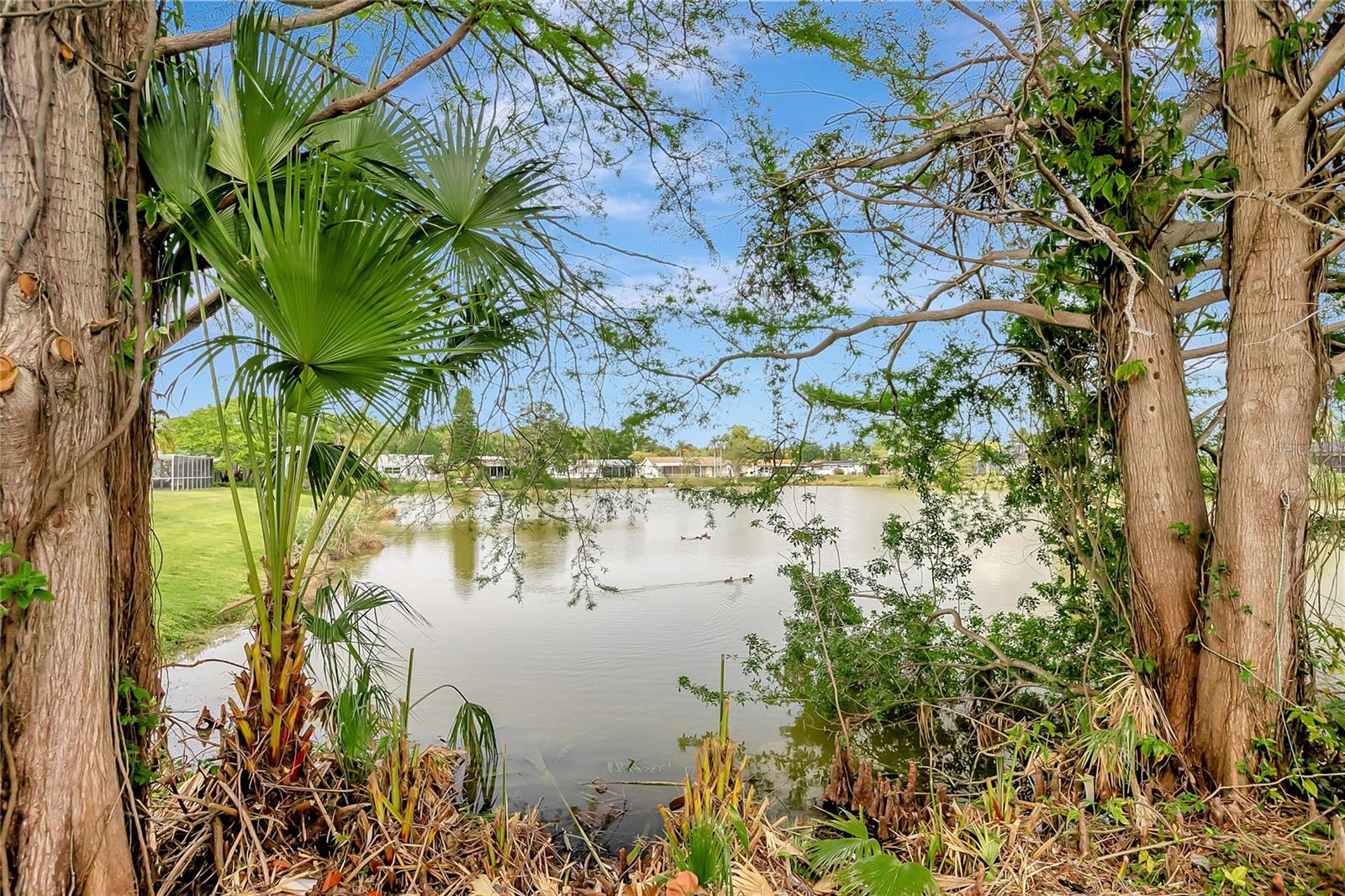 BEACON SQUARE - Residential