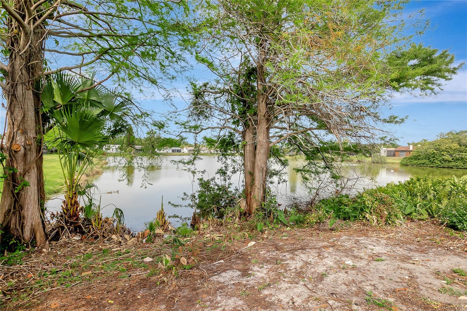 BEACON SQUARE - Residential