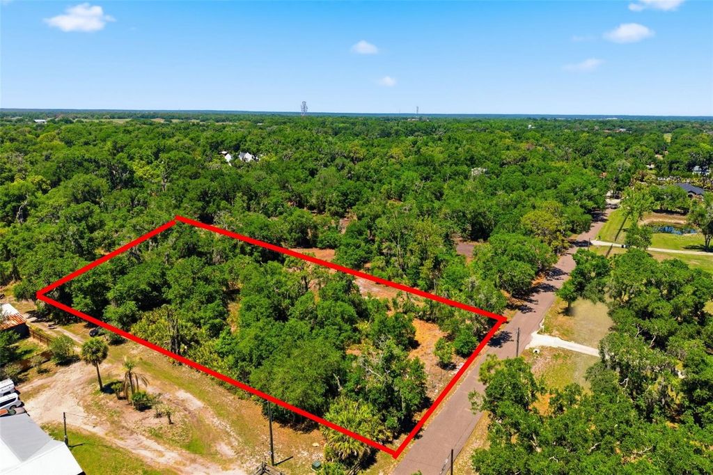 Photo of 19084 Red Bird Lane #LOT 2, Lithia, FL 33547 (MLS # TB8499520)