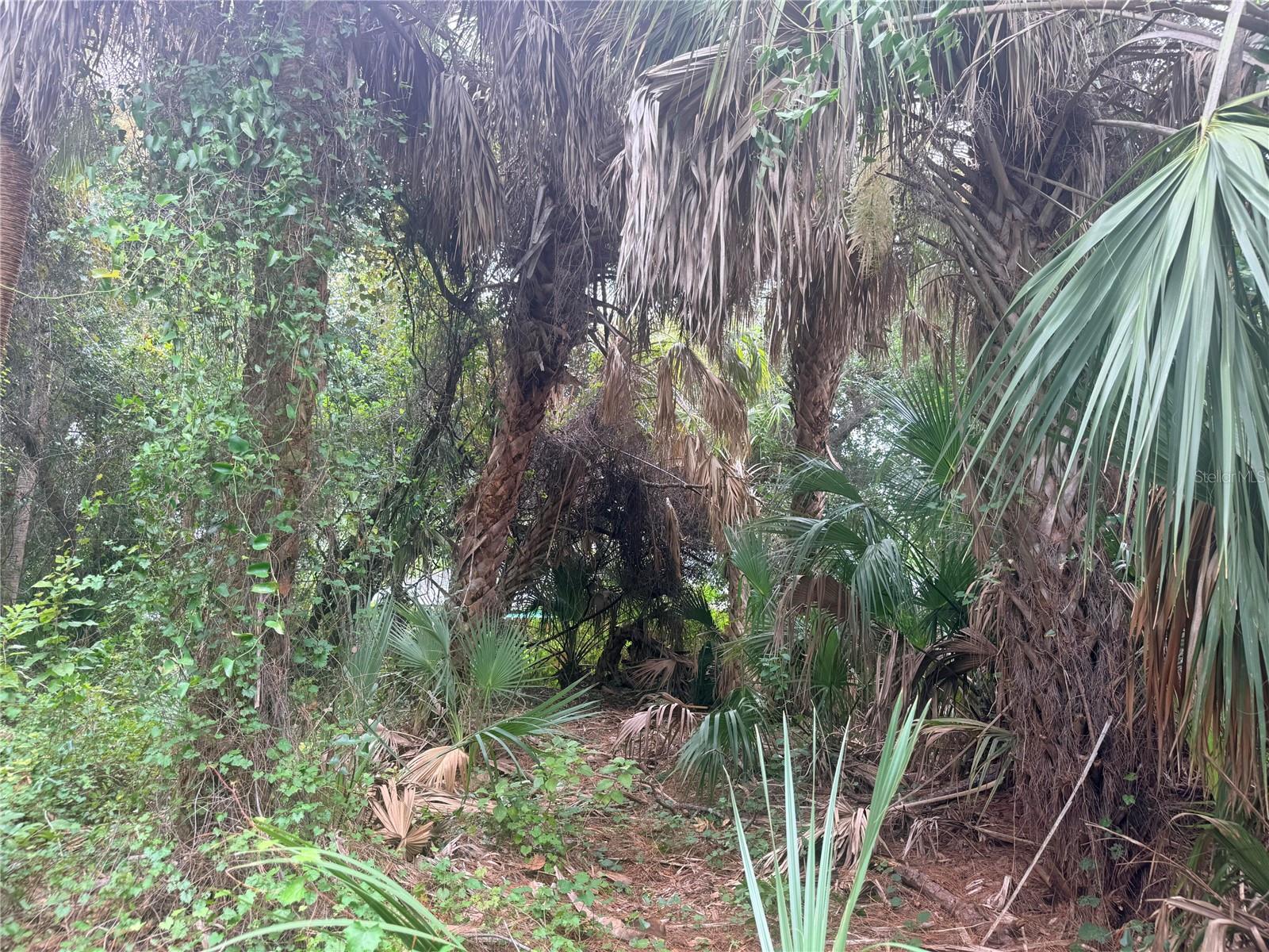 0 TISHMAN AVENUE, NORTH PORT, FL, 34286 4 0 TISHMAN AVENUE