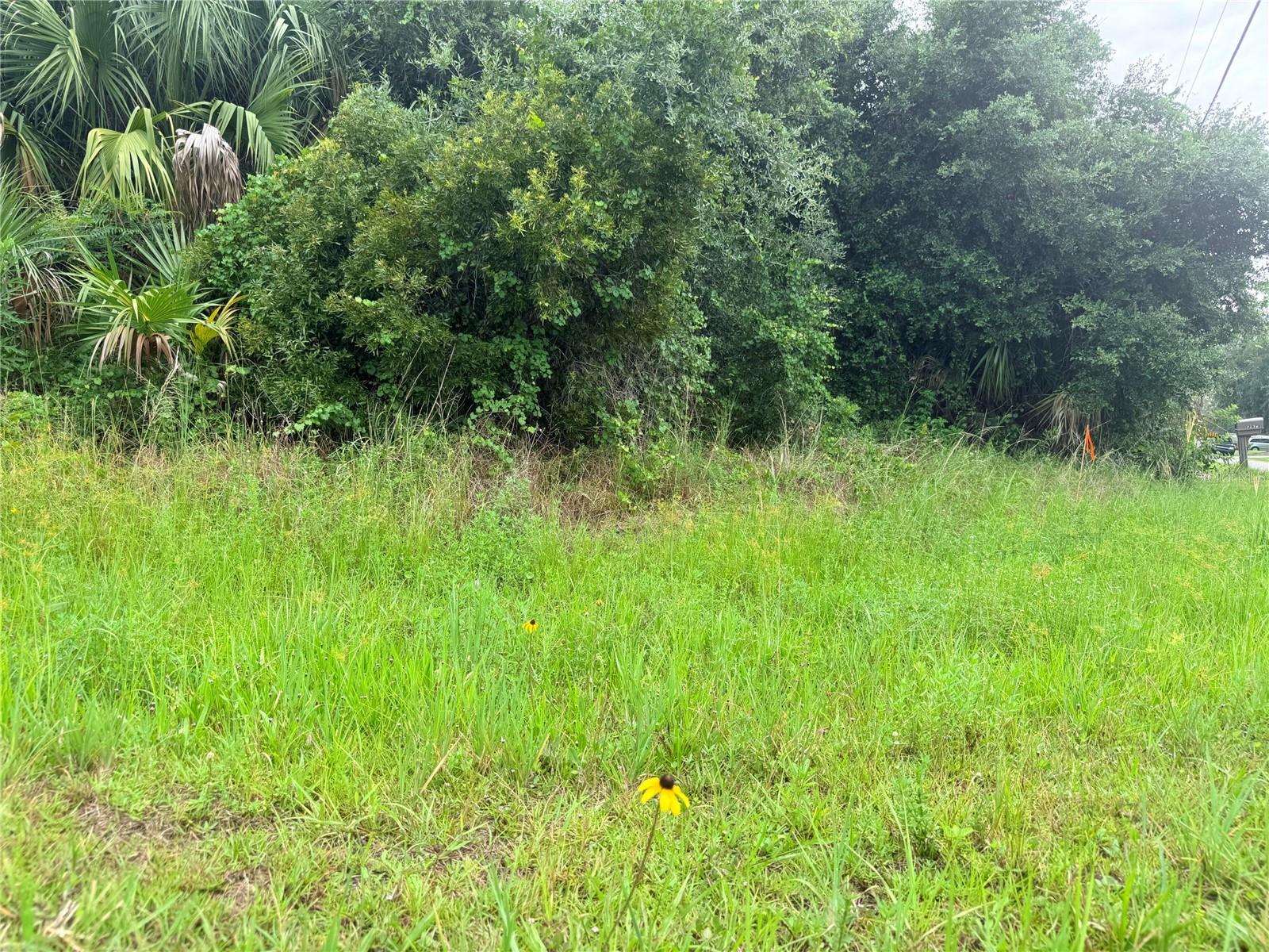 0 TISHMAN AVENUE, NORTH PORT, FL, 34286 2 0 TISHMAN AVENUE