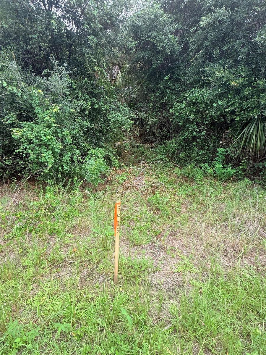 0 TISHMAN AVENUE, NORTH PORT, FL, 34286 3 0 TISHMAN AVENUE