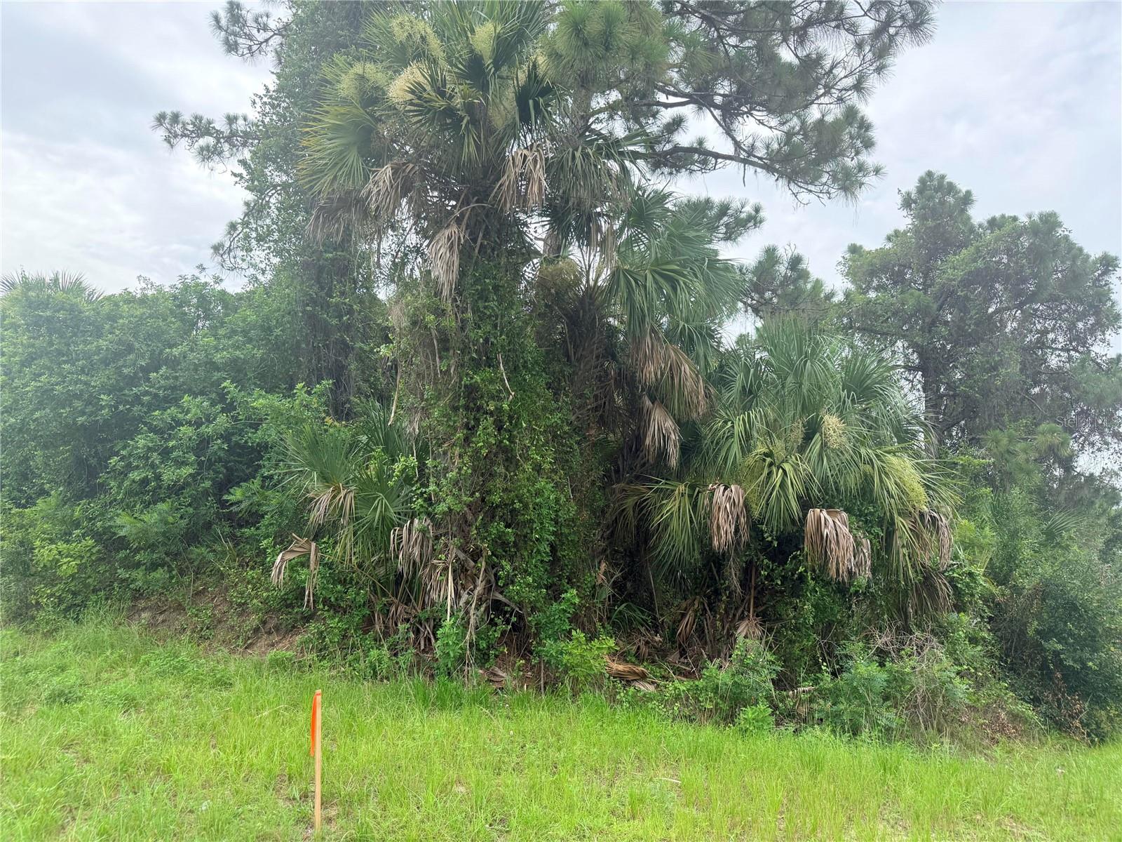 0 TISHMAN AVENUE, NORTH PORT, FL, 34286 1 0 TISHMAN AVENUE