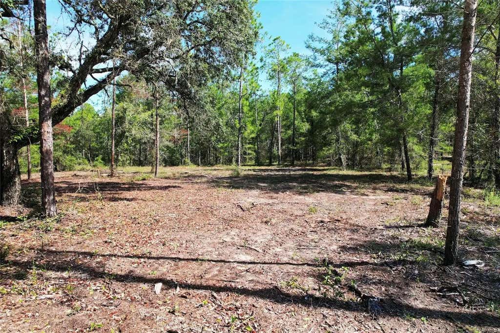Photo of SE 6th Lane, Williston, FL 32696 (MLS # O6436671)