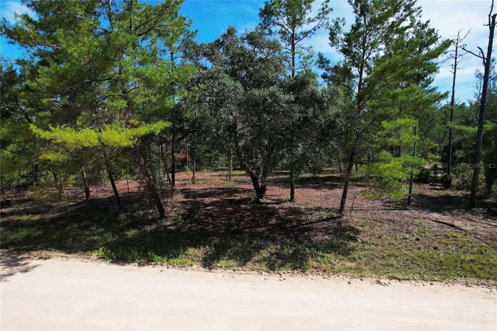 Photo of SE 6th Lane, Williston, FL 32696 (MLS # O6436671)