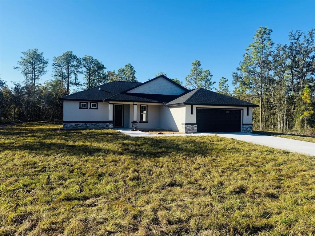 Photo of 12192 Barnevelde Road, Brooksville, FL 34614 (MLS # W7879101)