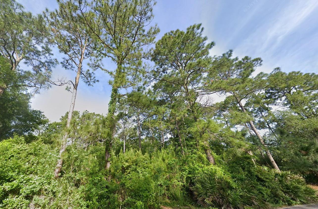 LOCATION, LOCATION, LOCATON!!! Just 15 Minutes to Gorgeous Beaches and Downtown Jacksonville!! Zoned RLD-60. Just a Few minutes from St Johns Town Center, and I-295 for seamless commuting. Come Build Your Dream Home Site on this Peaceful 1.85 Acre Lot! Measure 101 Feet Wide and 788 Feet Deep! Charming Country Vibe but Just Outside the Heart of Jacksonville for Dining and Shopping Options Galore!! No HOA means Complete Freedom, Lot is Not in a Flood Zone!! Make an offer to secure this Lot as Your Own Today!!