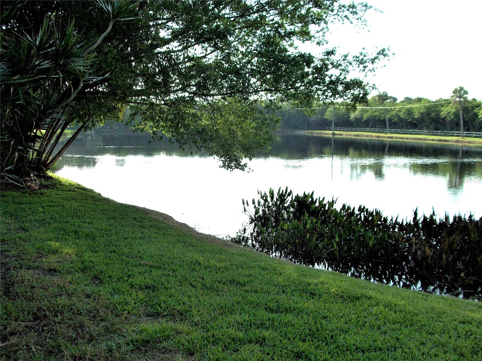 PEPPERTREE VLG CONDO - Residential Lease