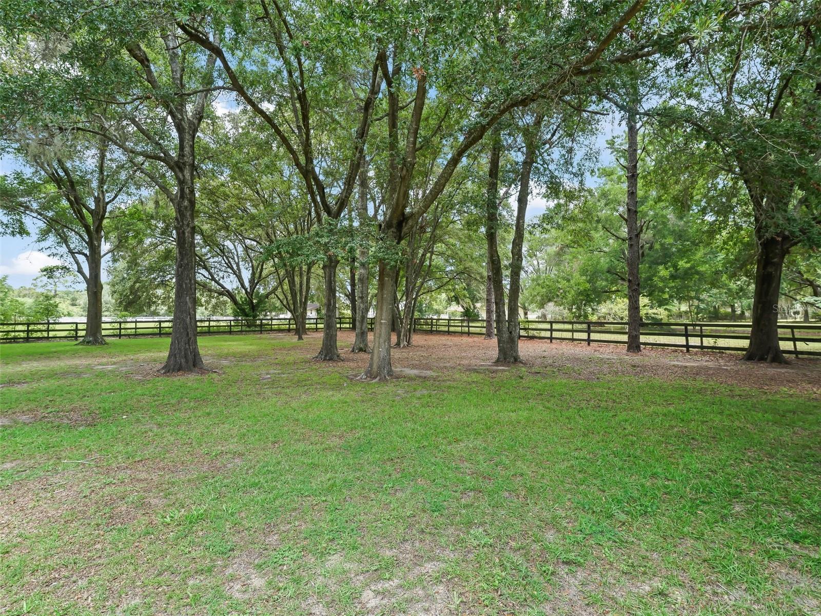 DERBY FARMS - Residential