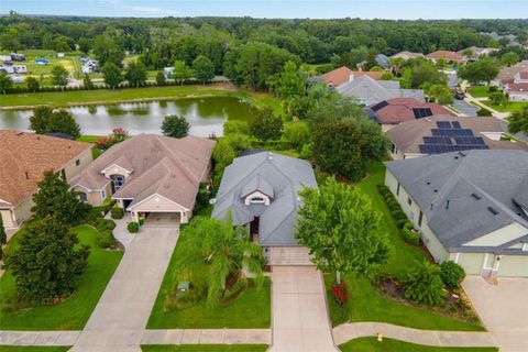 A home in MOUNT DORA