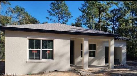 A home in CITRUS SPRINGS