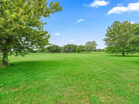 Tiny photo for 1975 SE 150th Street, Summerfield, FL 34491 (MLS # OM706008)