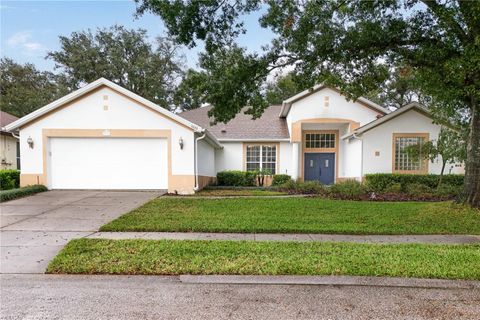 A home in MOUNT DORA