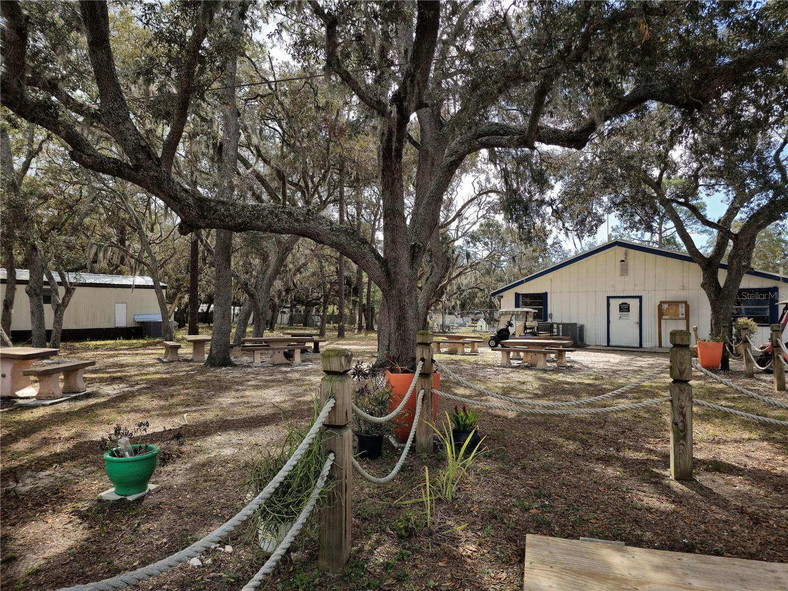 YOGI BEARS JELLYSTONE PARK CAMP - Land