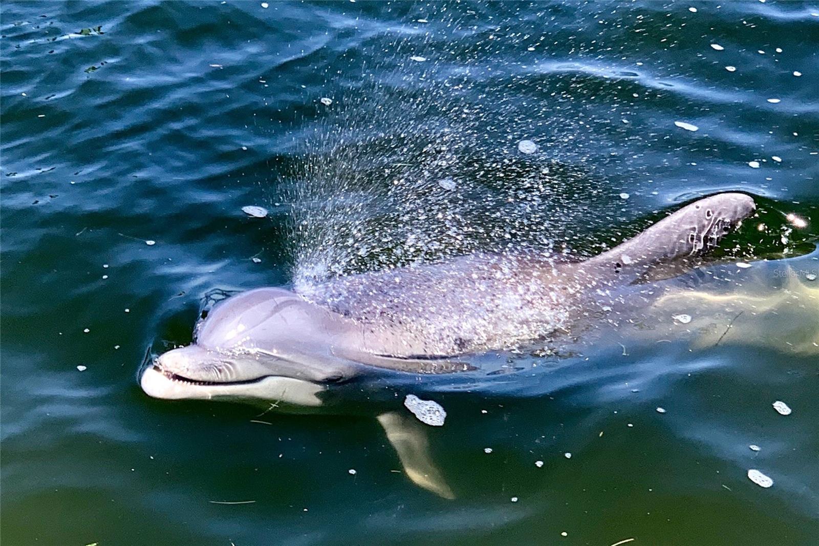 VENETIAN ISLES - Residential