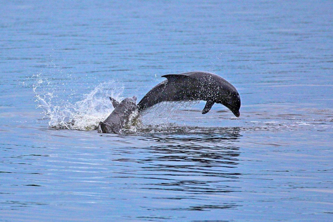 VENETIAN ISLES - Residential