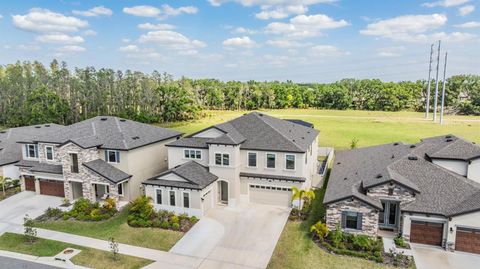 14507 WOODLAND SPUR DRIVE LITHIA FL 33547