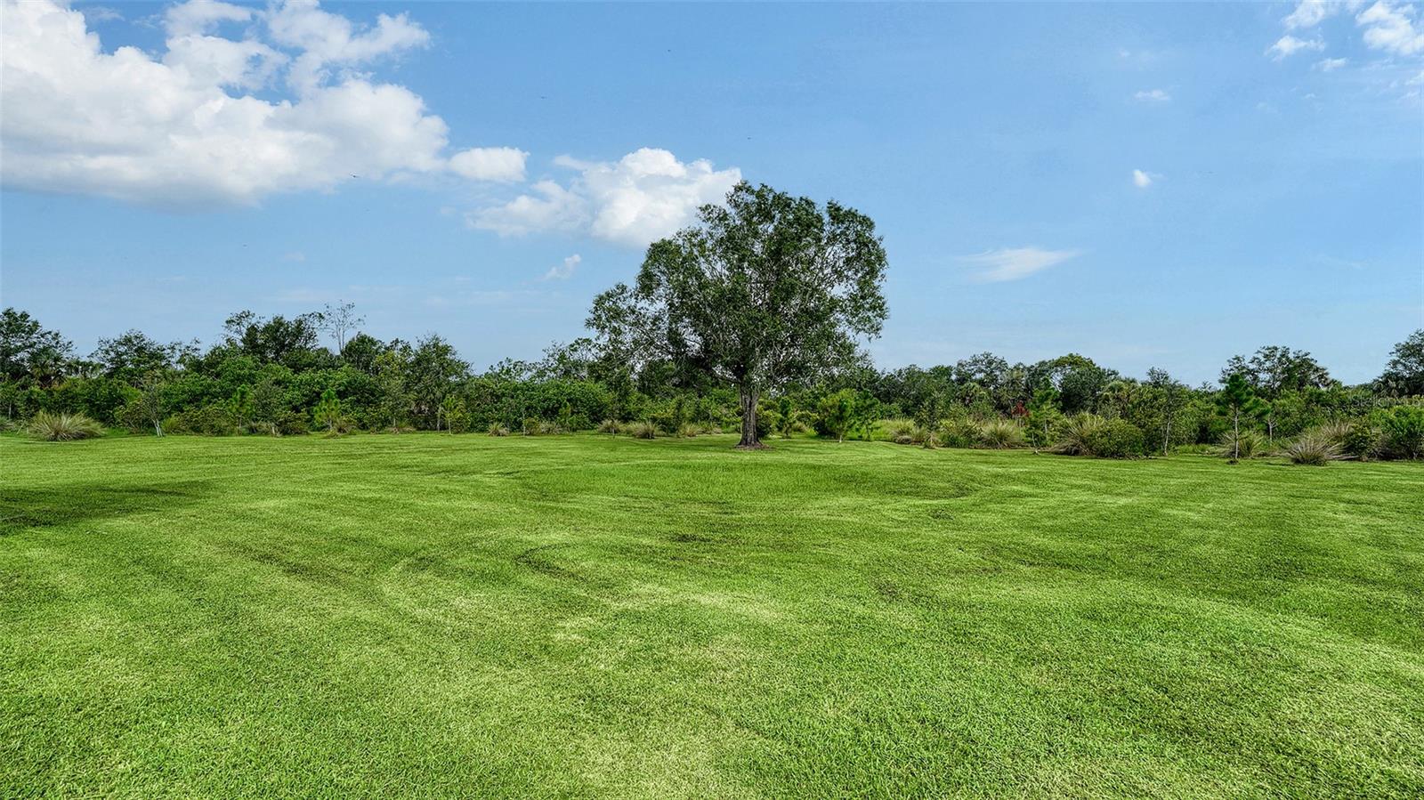 SADDLE OAK ESTATES - Residential