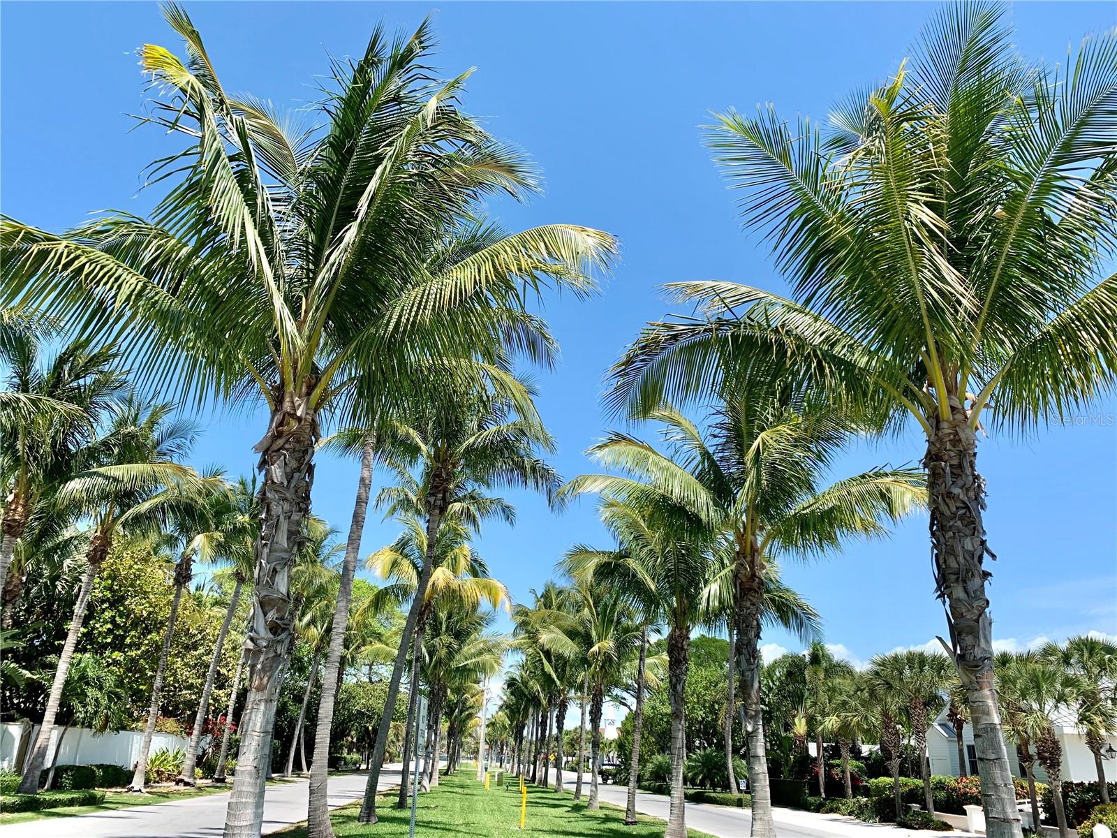 VILLAGEWALK - Residential