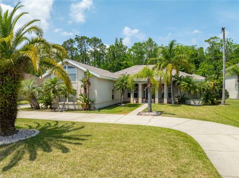69 COQUINA RIDGE WAY ORMOND BEACH FL 32174