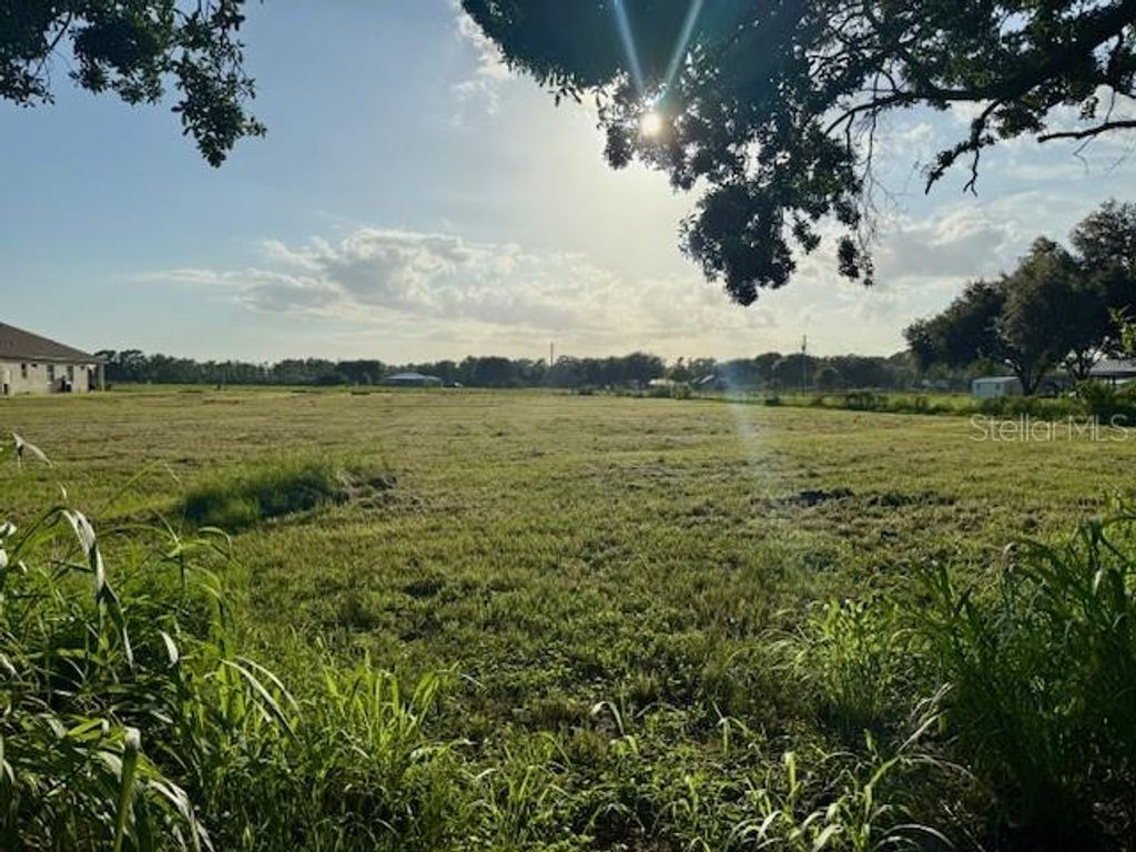 Photo of 13813 Gettis Lee Road, Parrish, FL 34219 (MLS # A4659463)