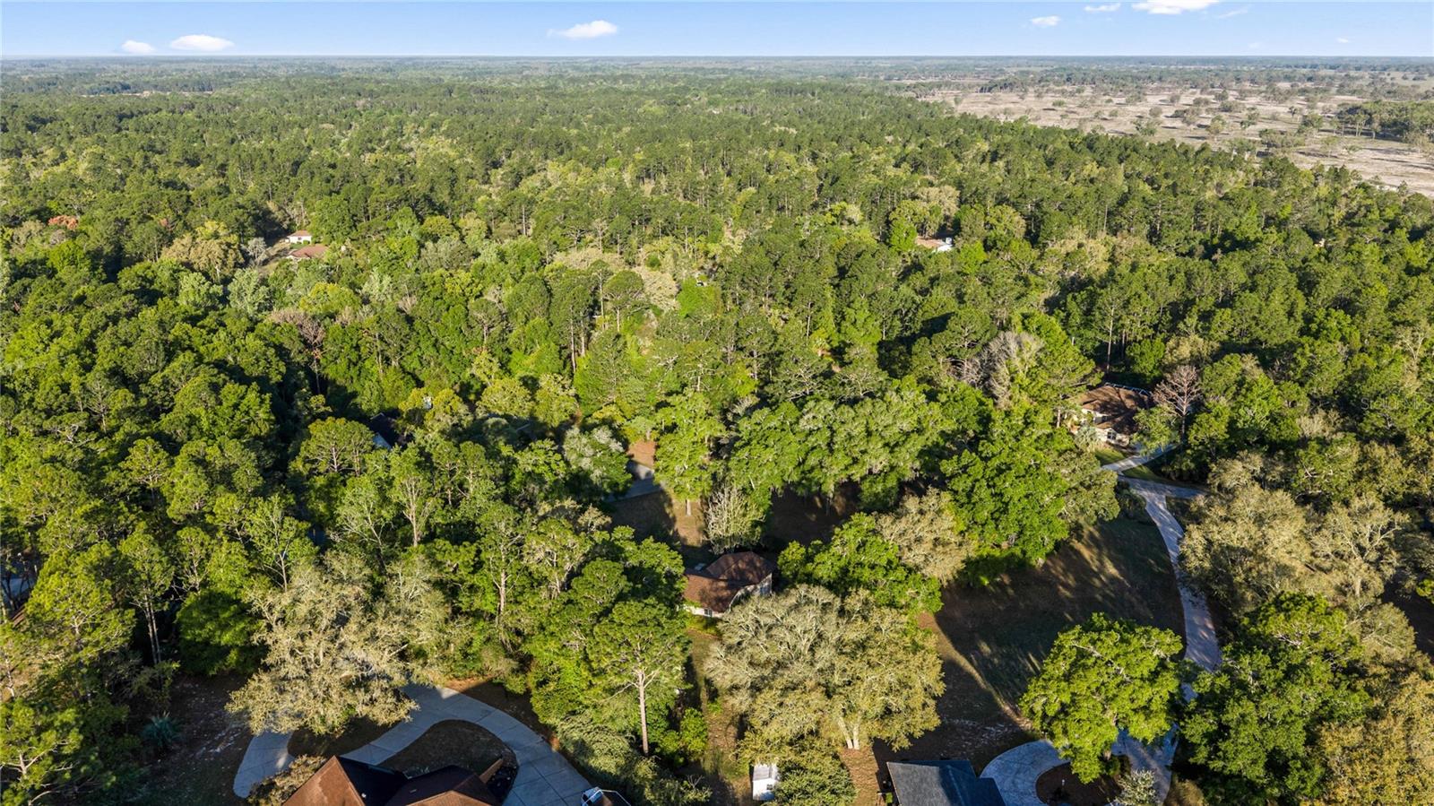 RAINBOW SPRINGS WOODLANDS - Residential