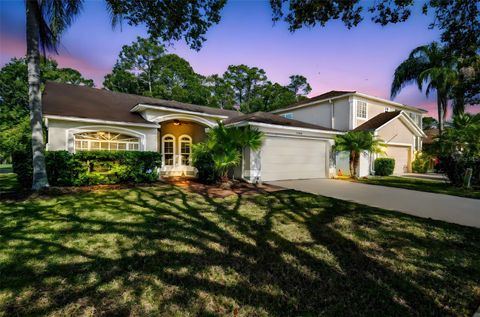 12929 ROYAL GEORGE AVENUE ODESSA FL 33556