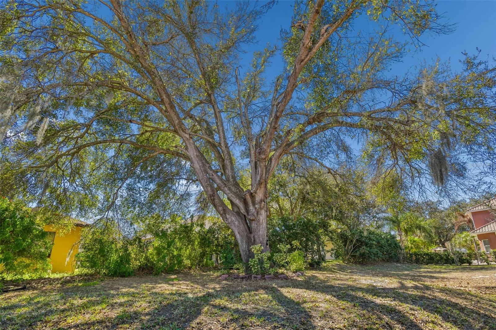 VINEYARDS - Residential