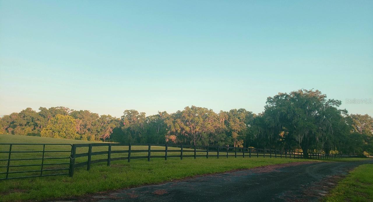 ESTATES AT COTTON PLANT - Land