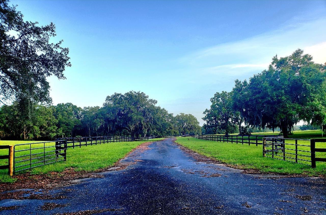 ESTATES AT COTTON PLANT - Land