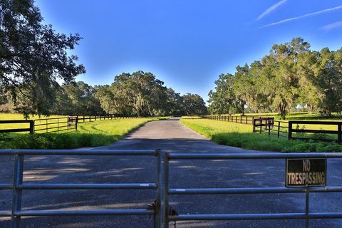 Tiny photo for 1077 SW 144th Court Road, Ocala, FL 34481 (MLS # OM641353)