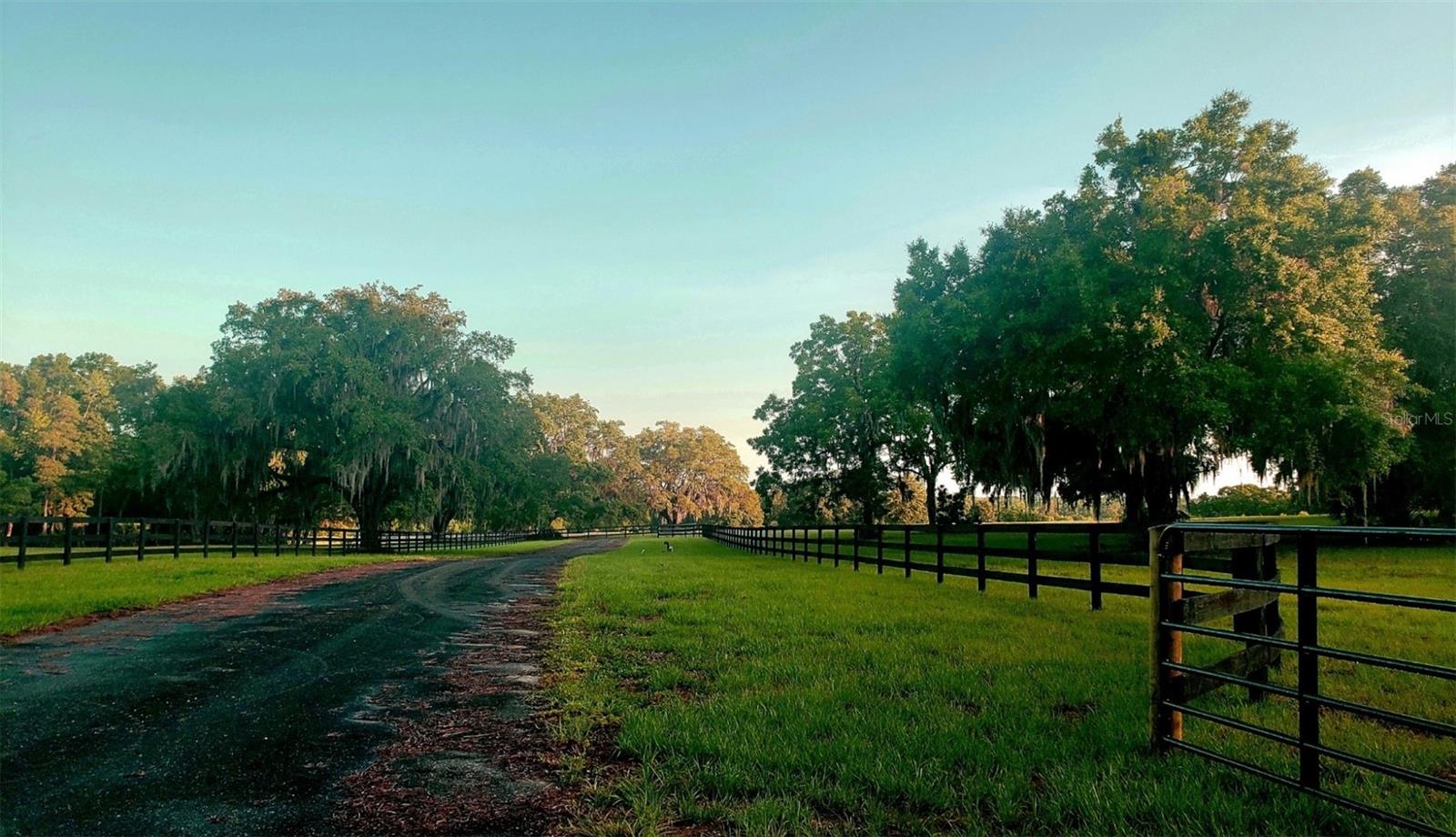 ESTATES AT COTTON PLANT - Land