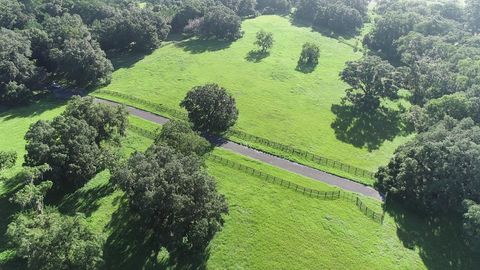 Tiny photo for 1077 SW 144th Court Road, Ocala, FL 34481 (MLS # OM641353)