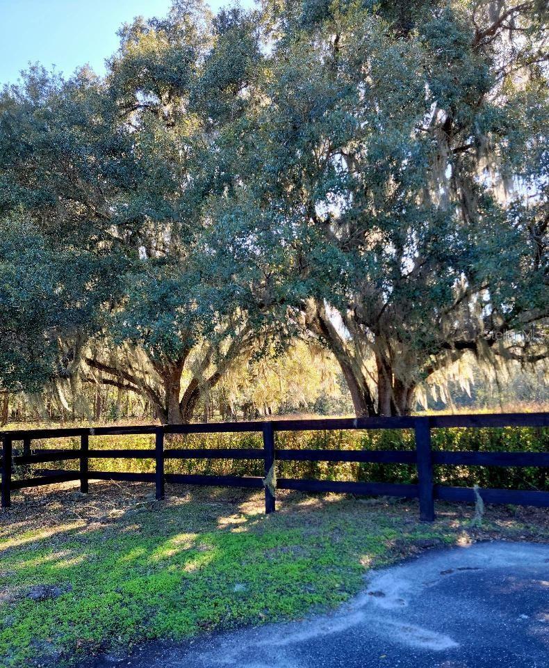 ESTATES AT COTTON PLANT - Land